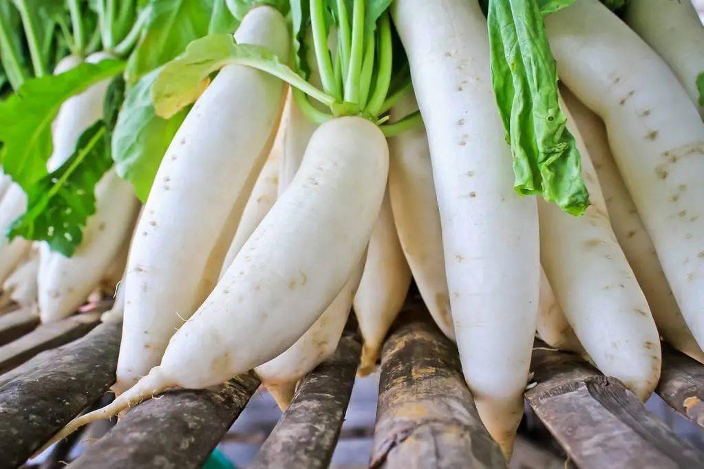 蔬菜配送公司承包食堂的優(yōu)勢。